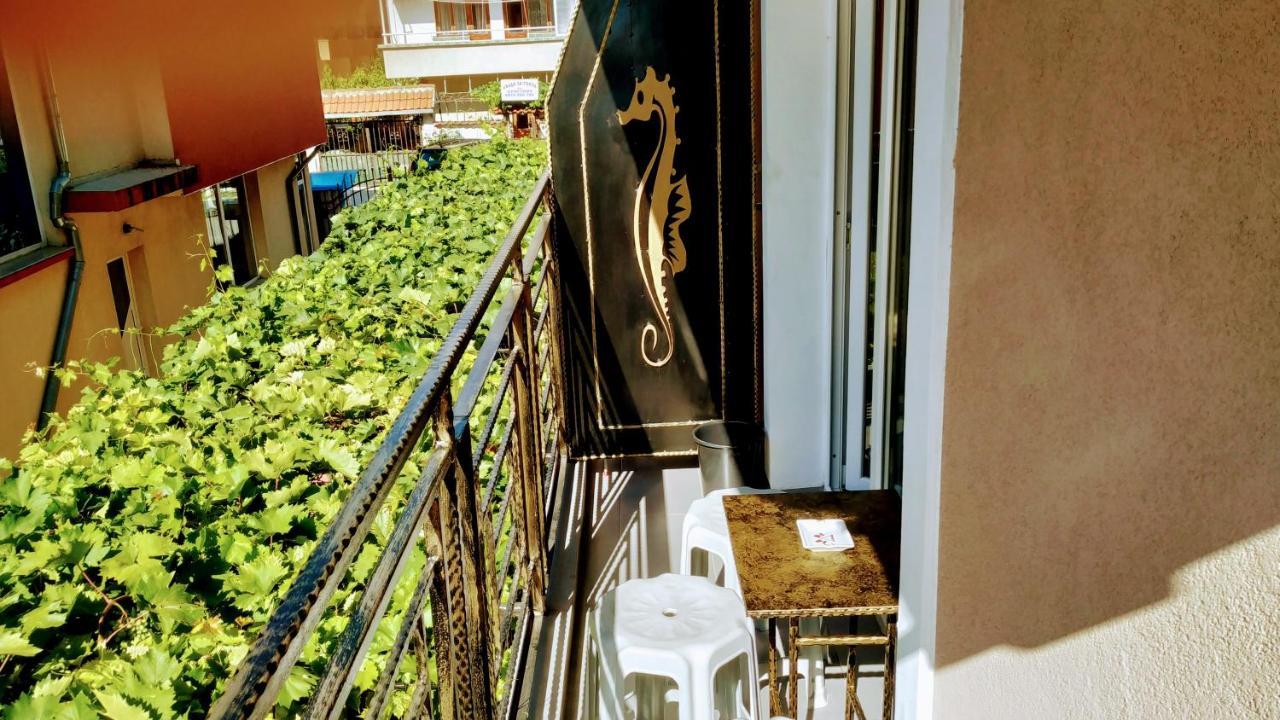 Dracena Guesthouse Ravda ภายนอก รูปภาพ