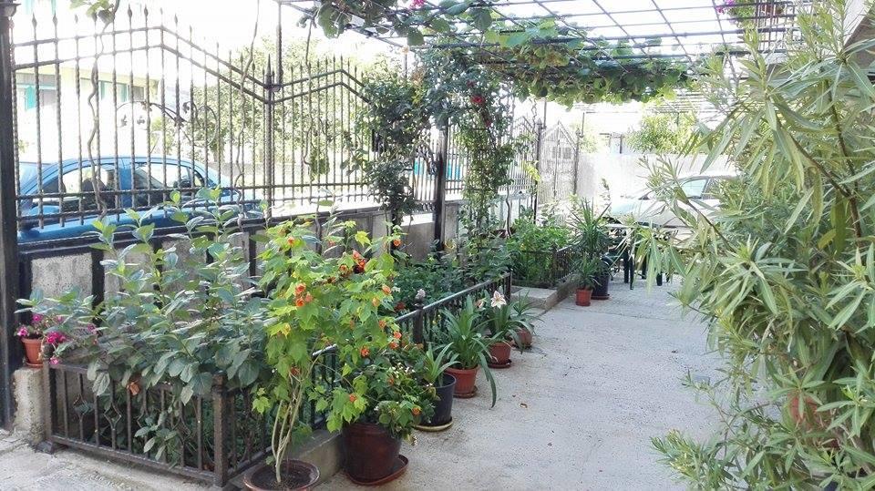 Dracena Guesthouse Ravda ภายนอก รูปภาพ